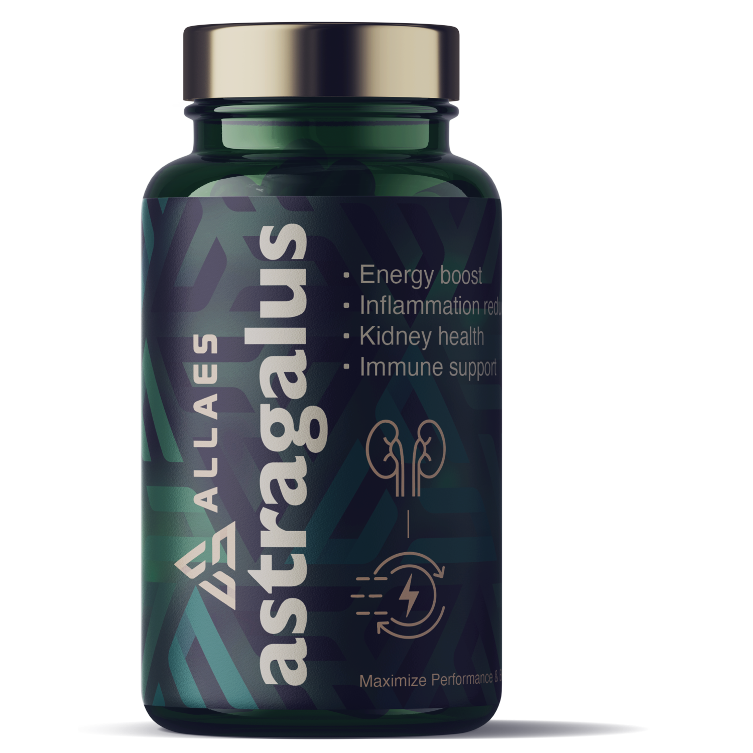 Allaes Astragalus